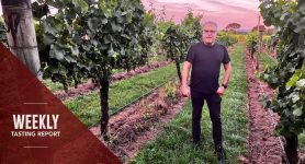 Finesse en versheid in Chili, meer geweldige kiwi-chards en het beste van Beaujolais: wekelijks proeverijverslag (1-7 februari)